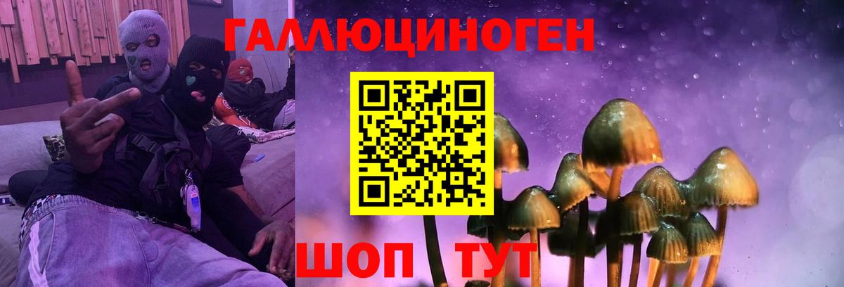 Лысьва  Галлюциногенные грибы прущие грибы  Галлюциногенные грибы Psilocybe  Вход с VPN 