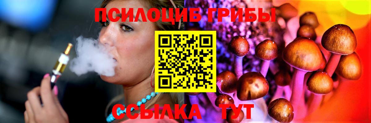 Псилоцибиновые грибы GOLDEN TEACHER Лысьва